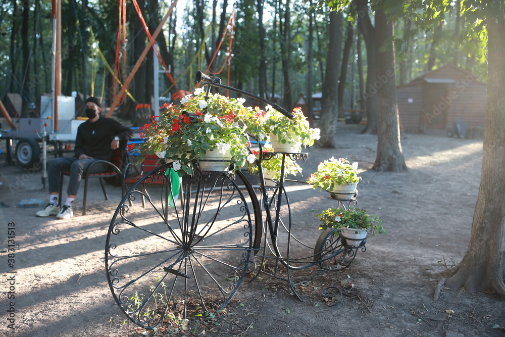 flowers in a basket