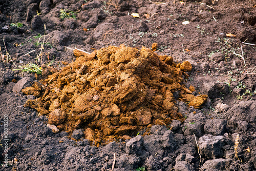 Wallpaper Mural A pile of manure for fertilizing the field Torontodigital.ca