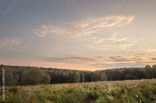 landscape of a meadow and a wood under sunset cloudy sky