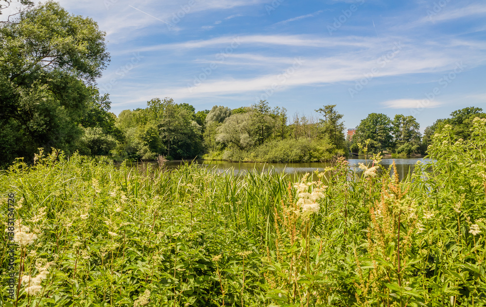 Naklejka premium Hermann- Löns- Park Hannover