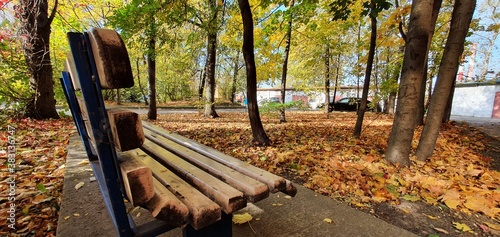 bench in autumn park