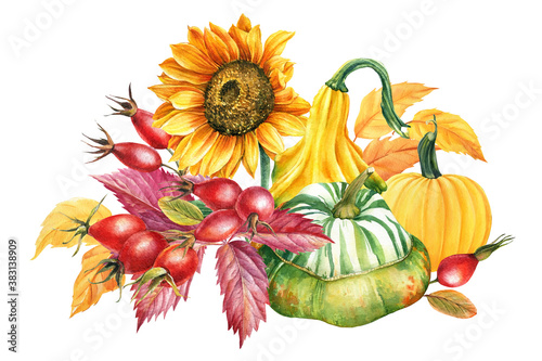 Autumn composition of leaves, pumpkin, sunflower, rosehip on a white isolated background, watercolor drawings.