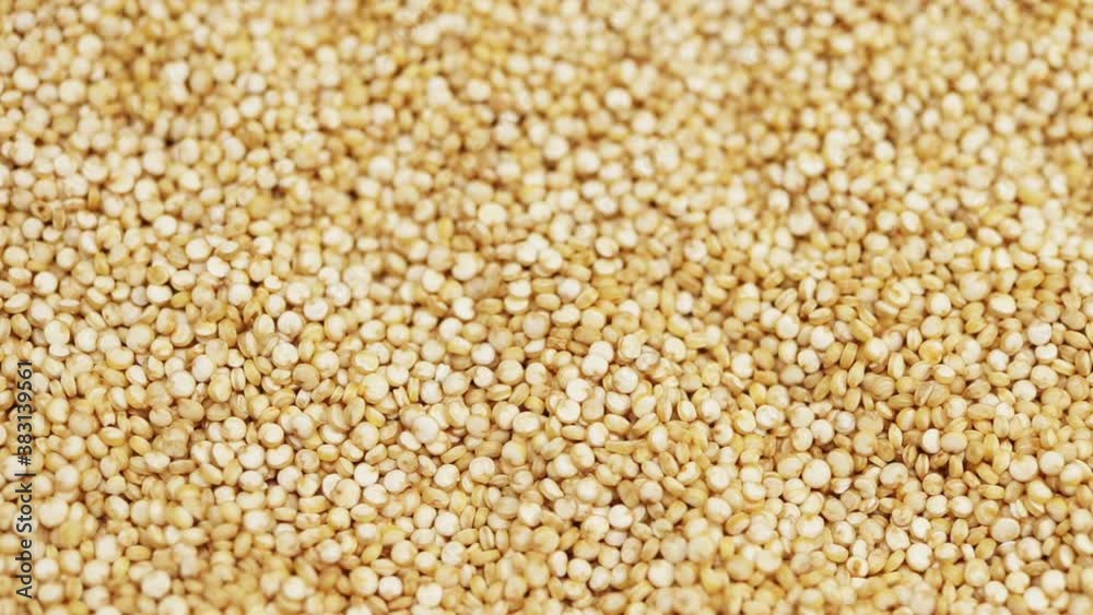 Macro closeup of quinoa seeds rotating, with a shallow depth of field Macro closeup of quinoa seeds rotating, with a shallow depth of field