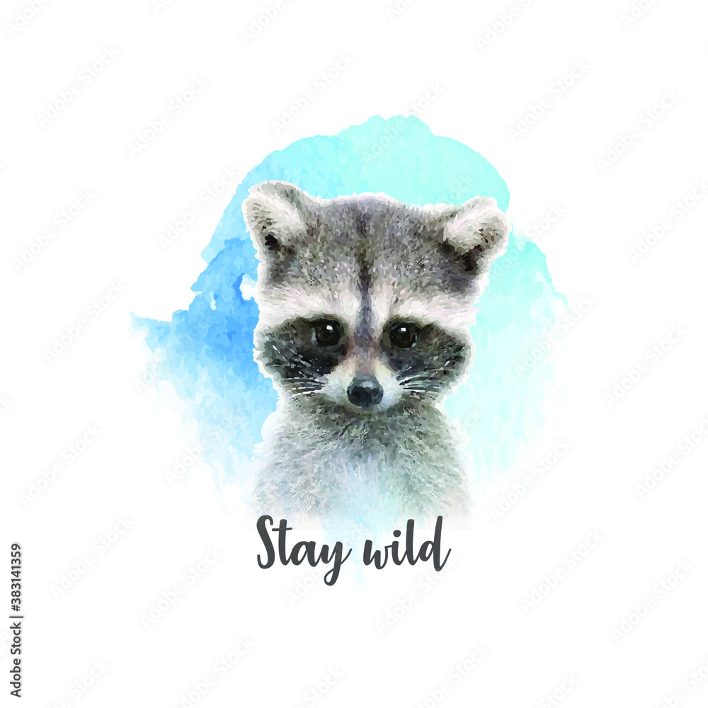 Vector illustration, Stay wild. Raccoon on a white background.