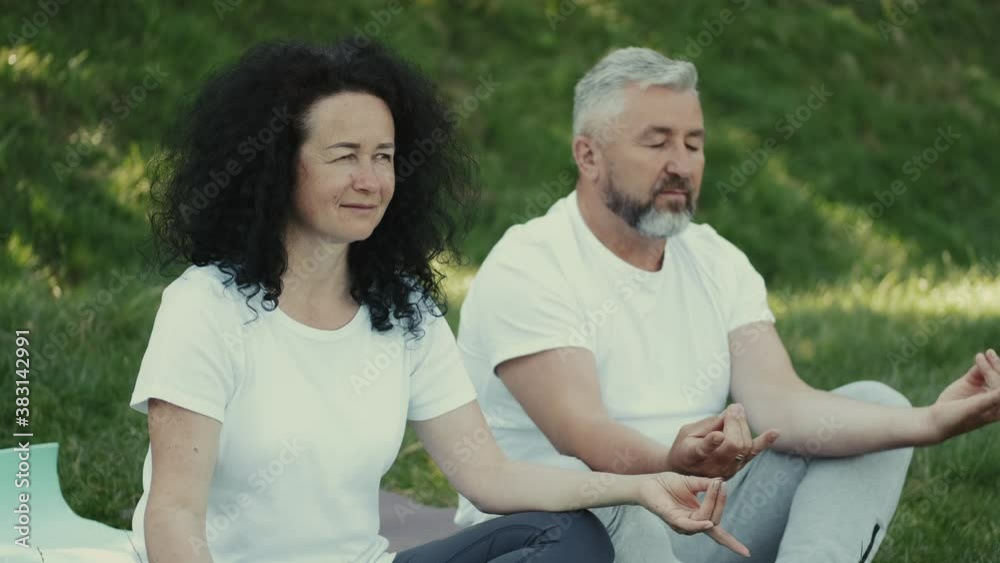 Yoga meditating hobby. Wife and husband are meditating together. The are sitting calmly on the lawn in a park with closed eyes. Yoga meditating hobby. Wife and husband are meditating together. The are sitting calmly on the lawn in a park with closed eyes.