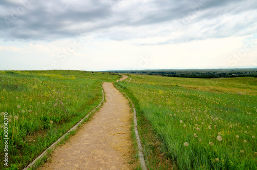 Montana - Little Bighorn Path through Meadow