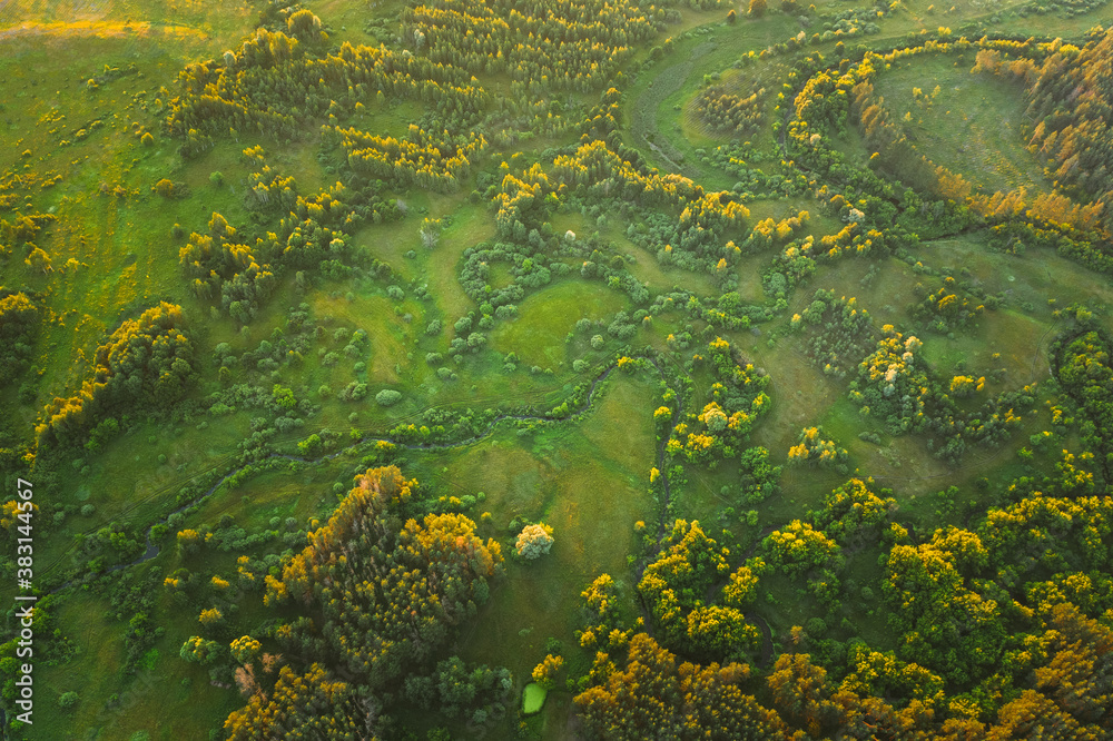 Aerial View Green Forest Woods park And Creek Stream Landscape In Summer Evening. Top View Of Beautiful European Nature From High Attitude. Drone View. Bird's Eye View