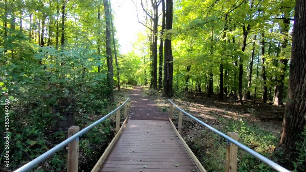 walking on a trail in the park in the fall walking on a trail in the park in the fall
