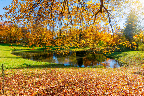 Pond in Catherine park in autumn, Tsarskoe Selo (Pushkin), Saint Petersburg, Russia © Mistervlad