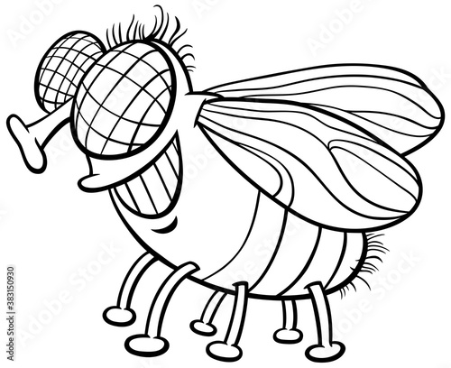 flie character cartoon illustration coloring book page