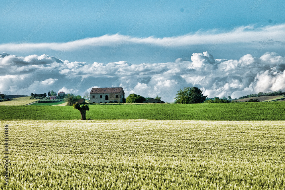 Obraz premium Landscapes of Marche , Italy: countryside.