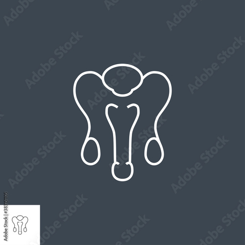 Male Reproductive System Related Vector Line Icon. Isolated on Black Background. Editable Stroke.
