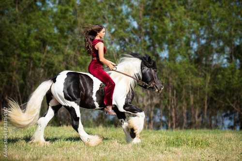 Women Equestrian on Gypsy Horse