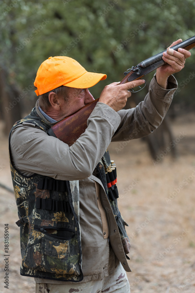 Naklejka premium Duck hunter with shotgun walking through a meadow.