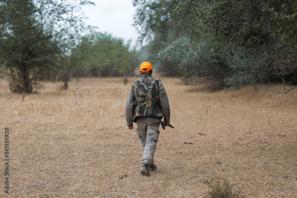 Duck hunter with shotgun walking through a meadow. .Rear view of a man with a weapon in his hands.