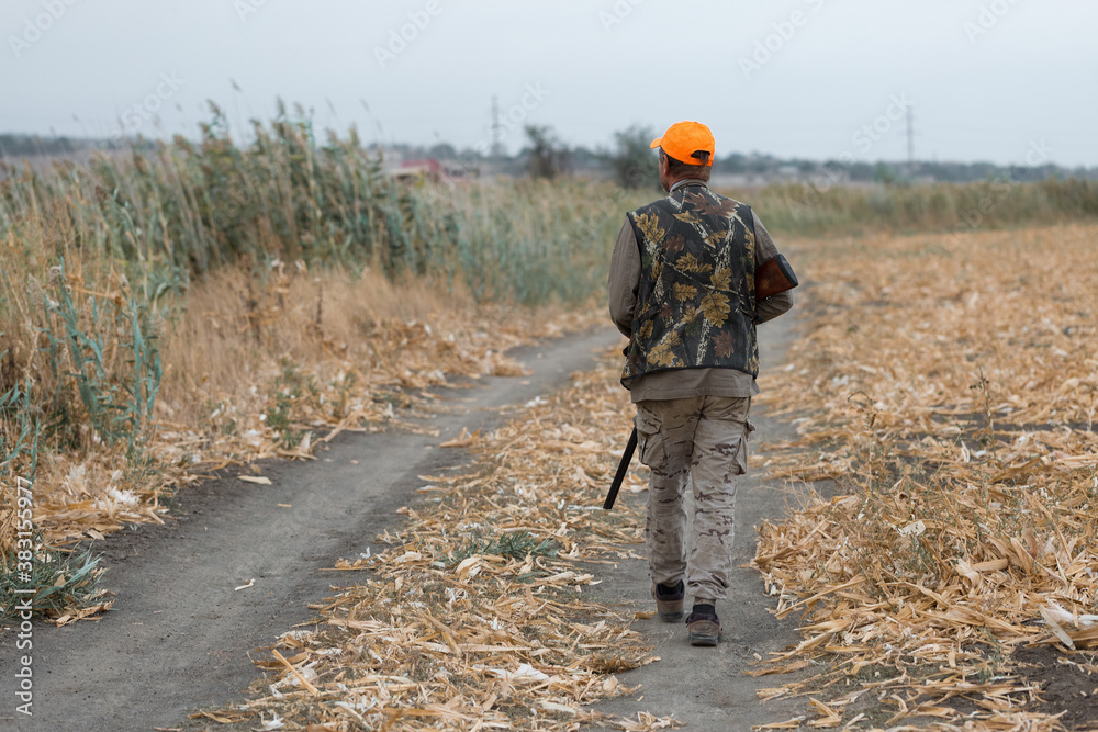 Duck hunter with shotgun walking through a meadow. .Rear view of a man with a weapon in his hands. Duck hunter with shotgun walking through a meadow. .Rear view of a man with a weapon in his hands.