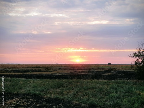 sunset over the field