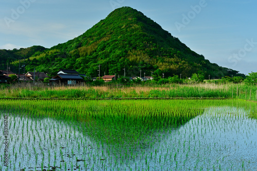 古里の山