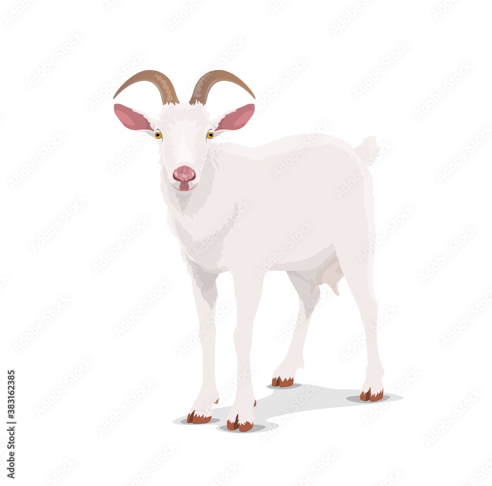 White goat, cartoon vector nanny, chinese horoscope animal. China lunar new year zodiac symbol for 2027, oriental culture and tradition. Husbandry, cattle farm goat mascot front view isolated icon White goat, cartoon vector nanny, chinese horoscope animal. China lunar new year zodiac symbol for 2027, oriental culture and tradition. Husbandry, cattle farm goat mascot front view isolated icon