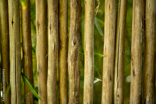 natural bamboo fence, background image