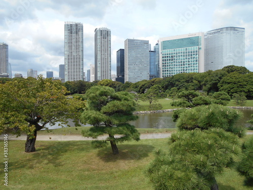 秋の日本庭園（東京）
