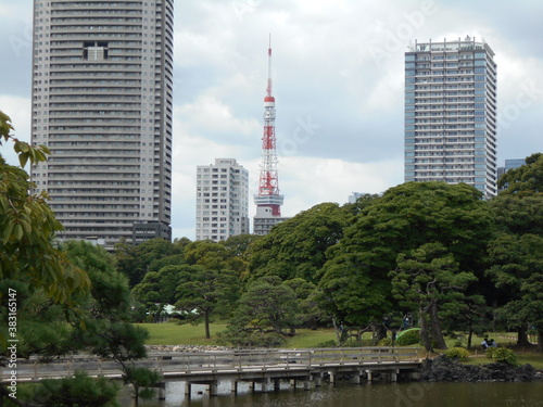 秋の日本庭園（東京）
