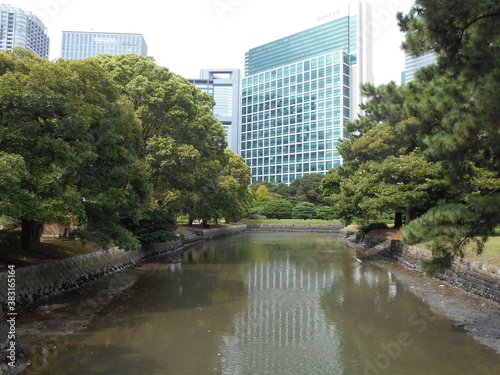 秋の日本庭園（東京）
