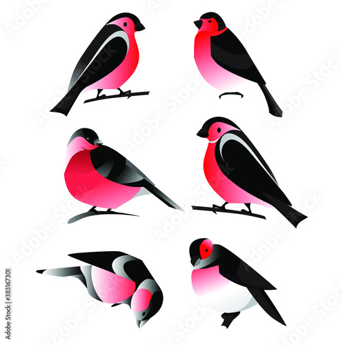 Colored bullfinches, set of 6 birds in flat style