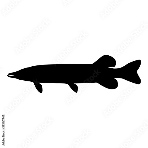 Pike Fish  Esox  Swimming On a Side View Silhouette Found In Map Of Europe And North America. Good To Use For Element Print Book  Animal Book and Animal Content