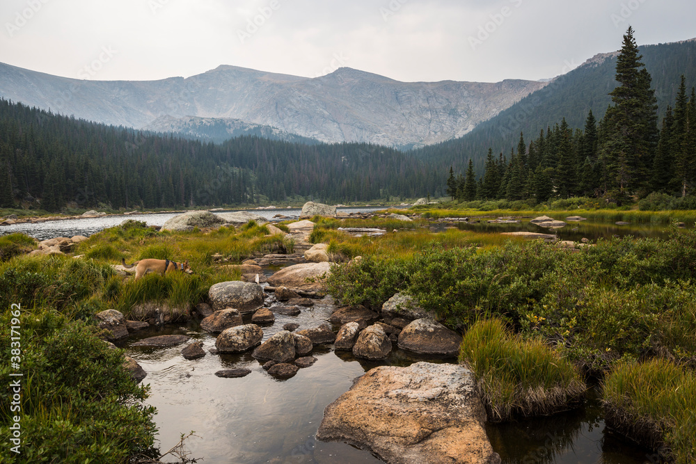 Landscape view of a beautiful lake in the Mount Evans wilderness in Colorado.
