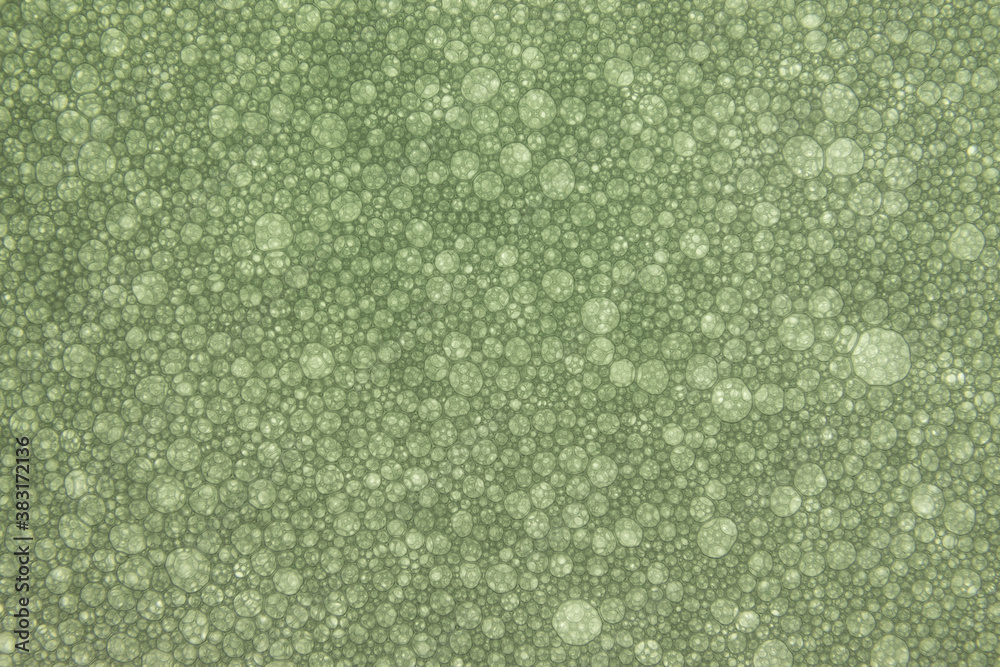 Fototapeta premium Chemical structures. Series of photographs of bubbles. Abstract backgrounds. Simulation of organic structures with water and detergent. Macro photography. Backgrounds for presentations. Blur effect on