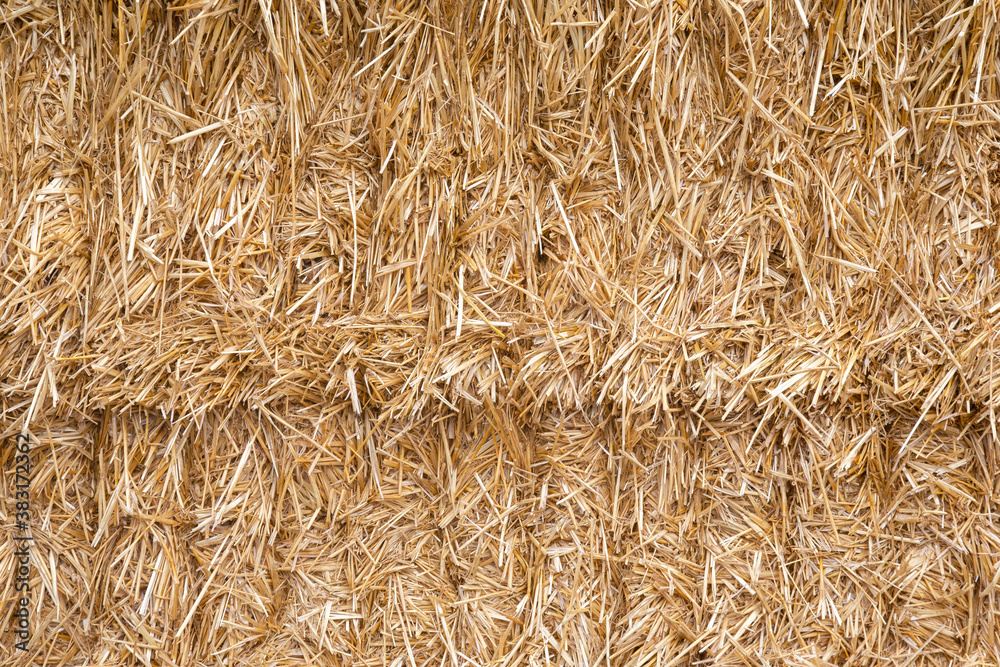 The pressed straw texture and background The pressed straw texture and background