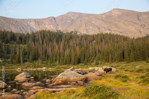 Landscape view of a beautiful lake in the Mount Evans wilderness in Colorado.
