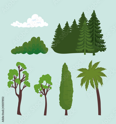 trees pines palm cloud and shrub design  landscape nature and outdoor theme Vector illustration