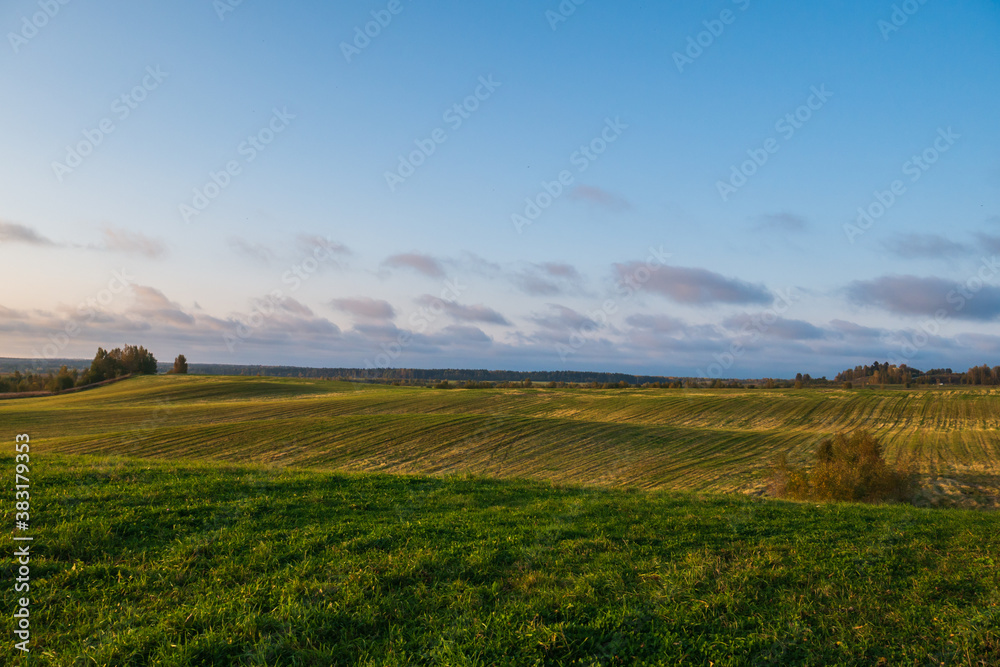 A huge green field with grass and wheat. Small hills and trees in the distance. A big beautiful blue sky.