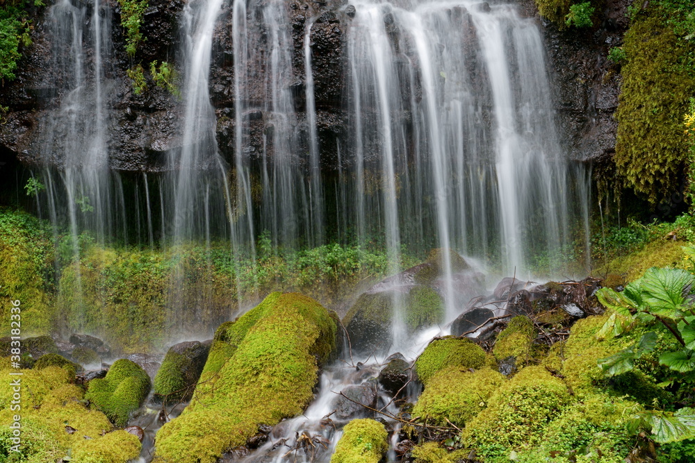 Fototapeta premium 沢山の美しい流線を描く滝の風景 -吐竜の滝、北杜市、山梨県、日本