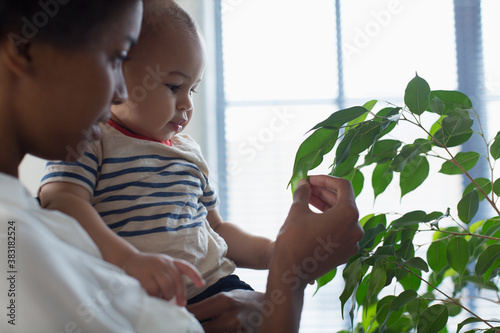 Obraz na plátně Curious mother and baby son looking at houseplant