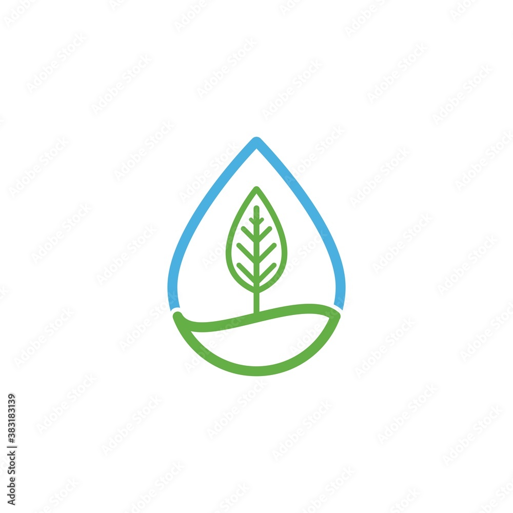 Leaf and Water drop Leaf and Water drop