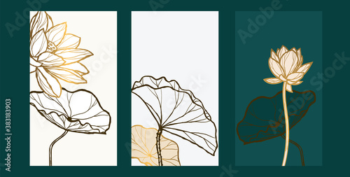 Luxury green Lotus background vector with golden metallic decorate wall art