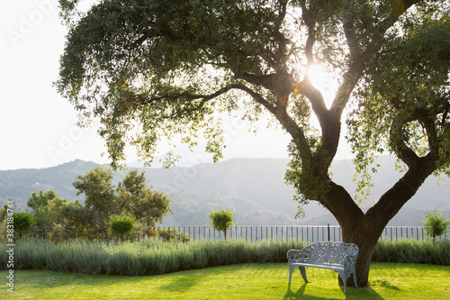 Cuadro en lienzo Bench under tree in sunny garden with mountain view