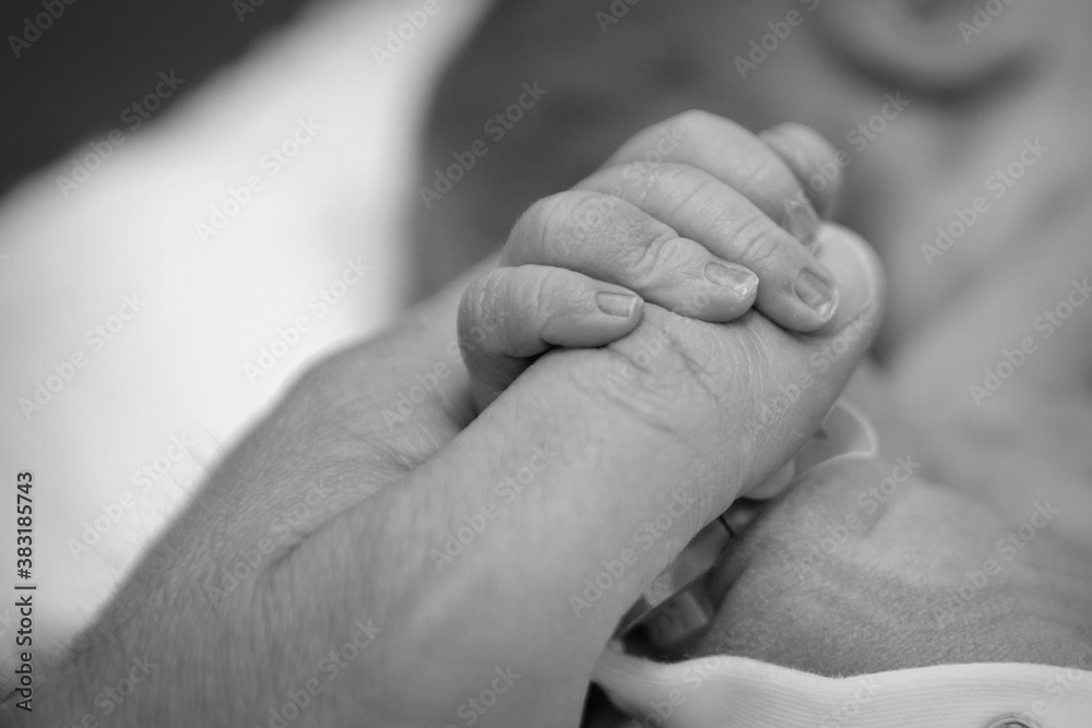 Newborn Baby's feet. Mother and father holding newborn baby legs,legs massage