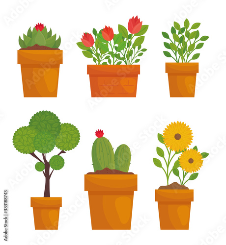 Gardening plants and flowers with leaves in pots design, garden planting and nature theme Vector illustration