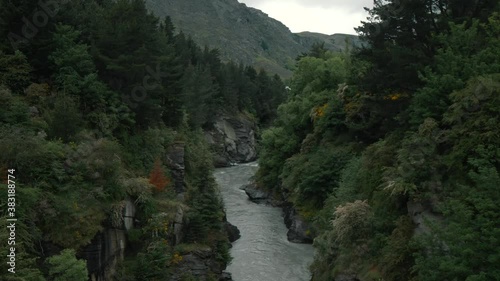 Cinematic forest river