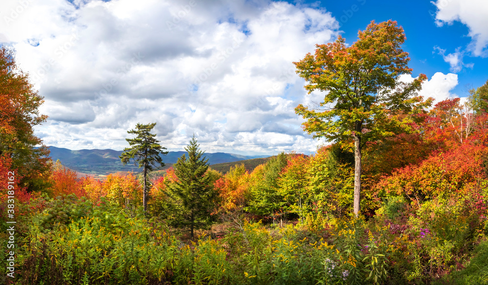 Naklejka premium Beautiful fall foliage view from Mt Greylock, New England