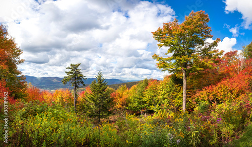 Beautiful fall foliage view from Mt Greylock, New England