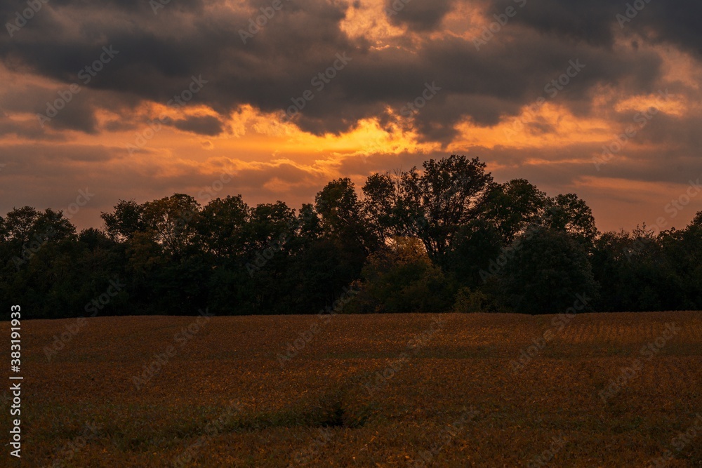 This scenic image shows a sunset over remote rural fields. This scenic image shows a sunset over remote rural fields.