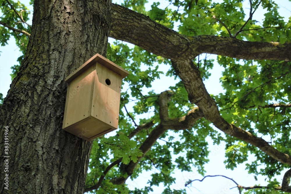 Wooden bird house in a tree.