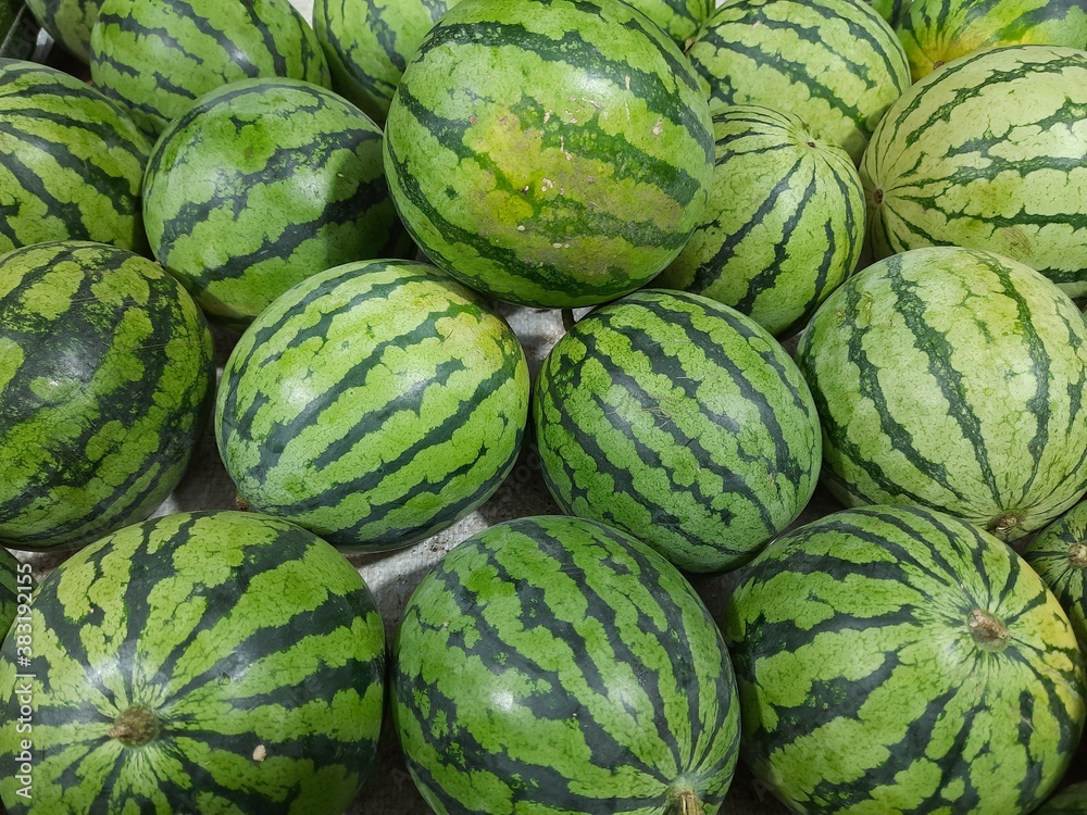 watermelons and melons watermelons and melons