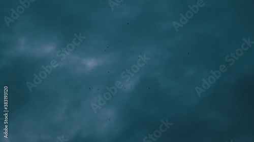 Birds flying, circling in dark storm clouds