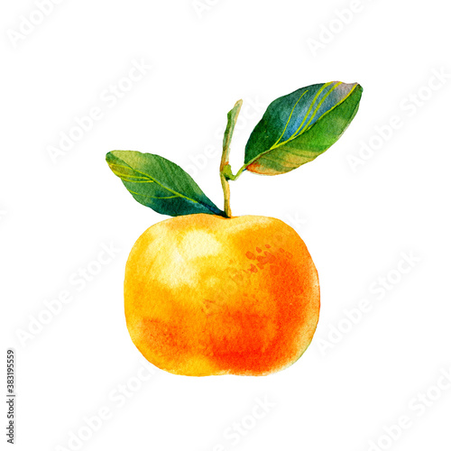 Watercolour bright sketch of ripe mandarin fruit. Watercolor illustration for any colourful design. Hand drawn mandarin isolated on white background. Orange fruit with green leaves.